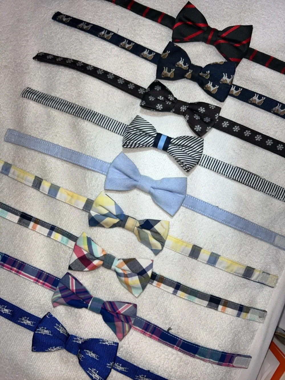 Janie and Jack Small Boy Bow Tie Set